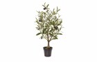 Botanic-Haus Kunstpflanze Olivenbaum, 60 cm, Produkttyp: Topfpflanze