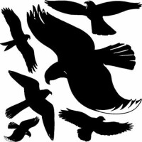 Z-DESIGN Image fenêtr.Oiseaux 4485 noir 1 flle./6 pcs., Pas