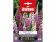 Blumen Saatgut Fingerhut Excelsior Mix, Bio: Nein, Blütenfarbe
