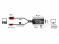 DeLock Adapter 4K, 30HZ HDMI/USB 2.0 - DVI-D/VGA/DisplayPort