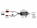 DeLock Adapter HDMI Stecker > DVI / VGA 
