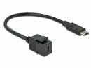 DeLock Keystone-Modul USB3.0 USB-C ? USB-C, 25cm Schwarz, Modultyp