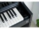Immagine 5 Casio E-Piano CELVIANO AP-S450 Schwarz, Tastatur Keys: 88