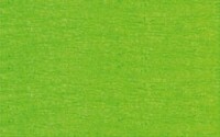 URSUS     URSUS Bastelkrepp 50cmx2,5m 4120353 32g, hellgrün, Kein