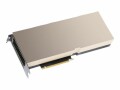 Hewlett-Packard NVIDIA H100 80GB PCIe Acc-STOCK . NS CTLR