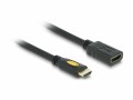 DeLock High Speed HDMI with Ethernet