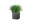 Bild 3 Lechuza Blumentopf Cube Cottage 40 Anthrazit, Volumen: 31 l