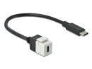 DeLock Keystone-Modul USB2.0 USB-C - USB-C