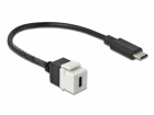 DeLock Keystone-Modul USB3.0 USB-C ? USB-C, 25cm Weiss, Modultyp