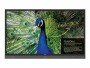 BenQ Touch Display RP750K Infrarot, Energieeffizienzklasse