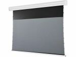 Celexon Motorleinwand HomeCinema Plus Tension 265.7x149.4 cm 16:9