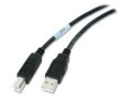 APC NetBotz USB Cable NetBotz USB Cable, Plenum-rated -