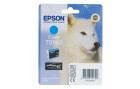 Epson Tinte C13T09624010 Cyan, Druckleistung Seiten: ×