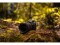 Bild 1 Tamron Zoomobjektiv 35-150mm F/2.0-2.8 Di III VXD Nikon Z