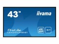 iiyama DS LE4341UHS 108cm IPS 43"/3840x2160/VGA/3xHDMI