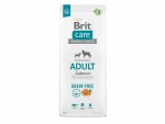 Brit Trockenfutter Care Adult Grain Free Lachs, 12 kg