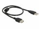 Image 1 DeLock USB 2.0-Verlängerungskabel A - A