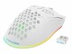 Image 7 DELTACO Lightweight Gaming Mouse,RGB GAM120W Wireless, White, WM80