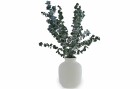 Soli Collection Trockenblumen Eukalyptus 40-55 cm, Grün, Produkttyp