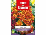 Blumen Saatgut Zwergtagetes Marietta, Bio: Nein, Blütenfarbe: Rot