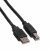 Bild 2 ProLine Roline USB 2.0 Kabel, A-B, black (4.5 m