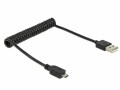 DeLock DeLOCK - USB-Kabel - USB Typ A, 4-polig (M)