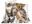 Bild 2 HERMA Gummibandmappe A3 Katzen, Polypropylen, mit Innendruck