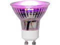 Star Trading Leuchtmittel LED Pflanzen GU10, 3.5 W, 42 lm