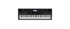 Casio Workstation WK-6600, Tastatur Keys: 76, Gewichtung: Nicht