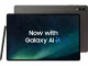 Samsung Galaxy Tab S9 Ultra 512 GB Schwarz, Bildschirmdiagonale