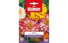 Blumen Saatgut Zinnie Dahlienblütig Mix, Bio: Nein, Blütenfarbe