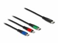 DeLock USB-Ladekabel USB C - Lightning/Micro-USB B/USB C 0.3