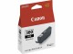 Canon Tinte PFI-300PBK / 4193C001 Fotoschwarz, Druckleistung