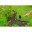 Bild 0 Nature Rasenkanten-Set H5 cm x 10 m mit Erdnägeln Grau