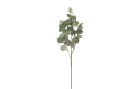 Botanic-Haus Kunstpflanze Eukalyptuszweig 87 cm, Produkttyp