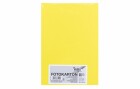 Folia Fotokarton A4, 300 g/m², 50 Blatt, Zitronengelb, Papierformat