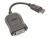 Bild 1 Lenovo DisplayPort to single Link