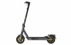 Segway-Ninebot E-Scooter Kickscooter MAX G2D, Altersempfehlung ab: 14