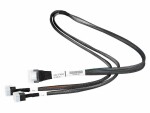 Broadcom - SAS internal cable - Slim SAS (SFF-8654