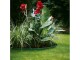 Gardena Raseneinfassung Rolle 9 cm hoch, 9 m lang