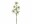 Bild 3 Botanic-Haus Kunstblume Edelweiss, 37 cm, 3er Set, Produkttyp