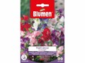Blumen Saatgut Gartenwicke Mix, Bio: Nein, Blütenfarbe