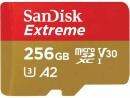 SanDisk Extreme microSDXC 256GB+SD 190MB/s