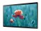 Bild 1 Samsung Touch Display QB24R-TB 24 ", Energieeffizienzklasse EnEV