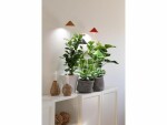Venso Solutions Pflanzenleuchte SunLite 7 W, Rot, Betriebsart: Netzbetrieb