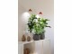 Venso Solutions Pflanzenleuchte SunLite 7 W, Rot, Betriebsart: Netzbetrieb