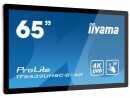 iiyama Monitor ProLite TF6539UHSC-B1AG, Bildschirmdiagonale: 65 "