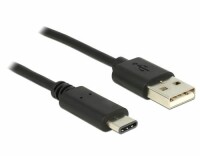 DeLock USB2.0 Kabel, A - C, 0.5m, sw, Typ