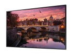 Samsung Public Display QB43B 43", Bildschirmdiagonale: 43 "