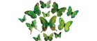 Dekomat AG Aufhänger Schmetterlinge 12 Stück, Grün, Bewusste